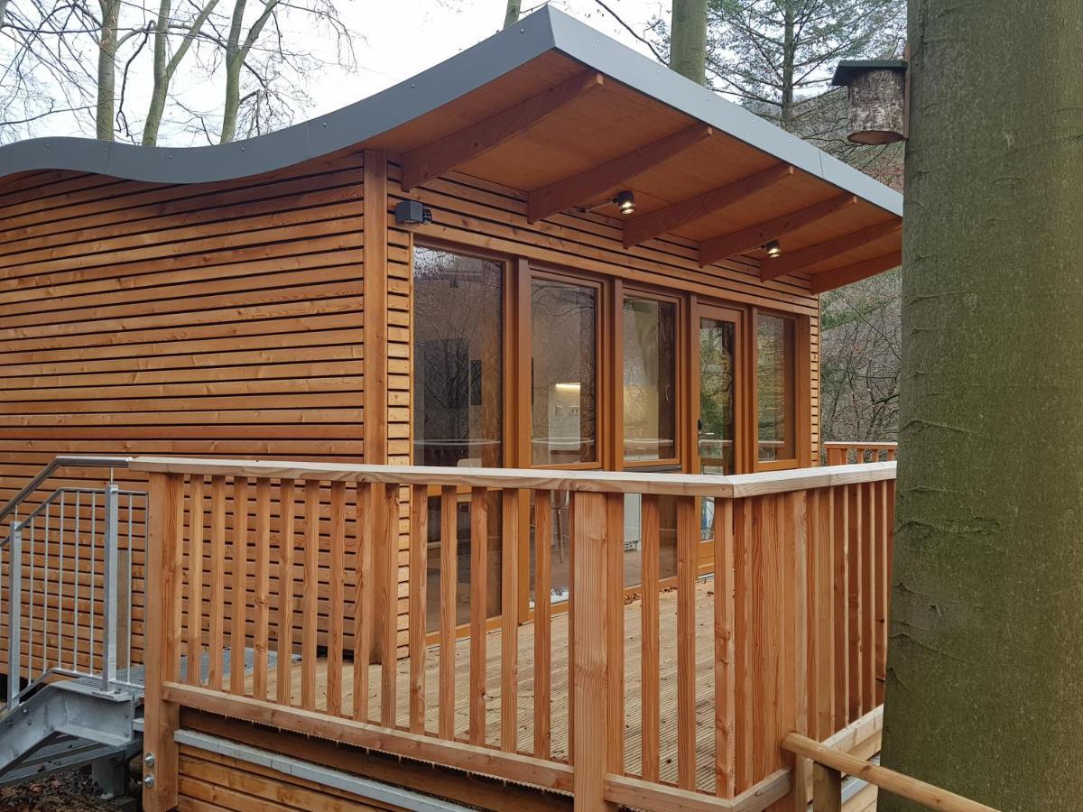 Sonnenresort Ettershaus Bad Harzburg Bagian luar foto